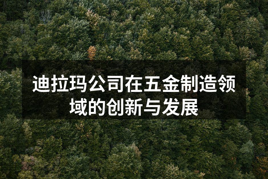 迪拉玛新型生产线运行图